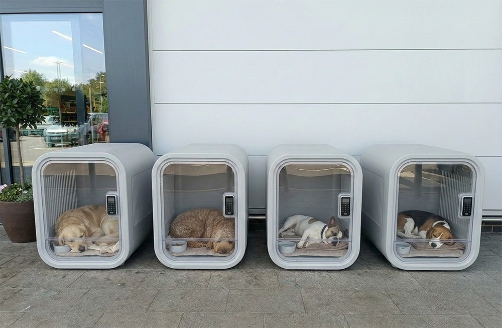 PetNest waiting pod in commercial space